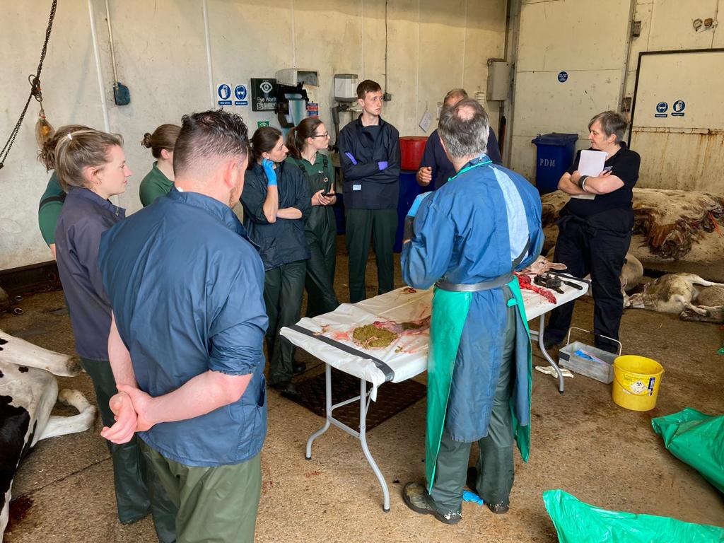 Post Mortem Vet CPD day with Ben Strugnell
